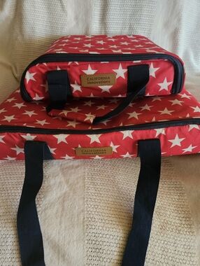 2 Insulated Carry Coolers